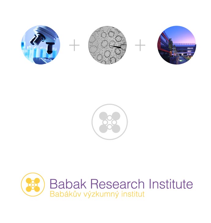 Design loga pro Babákův institut